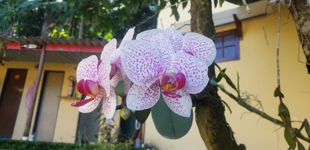 Mixirica Trindade (Rio de Janeiro)