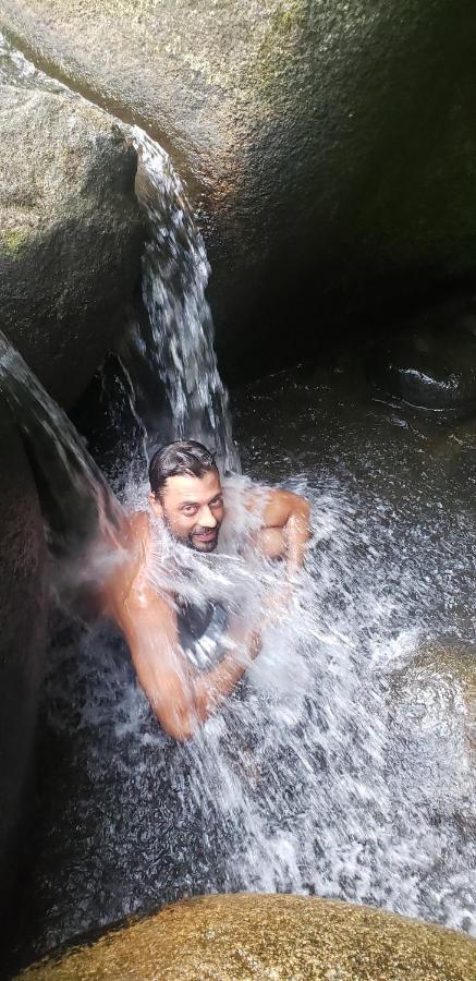 Mixirica
